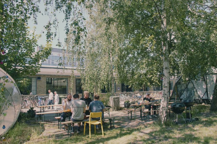 Kolleger spiser frokost ved langbordene i gården under birketræerne.