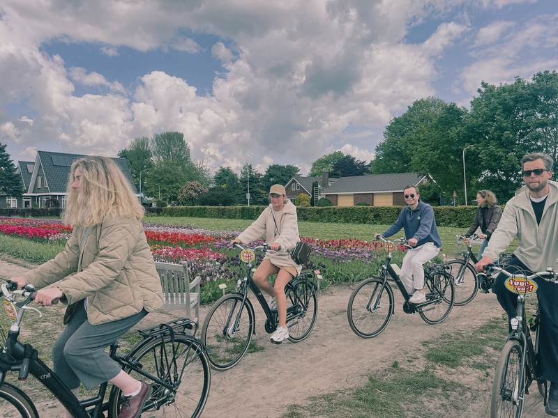 Kolleger cykler forbi blomstrende tulipanmarker i Holland.
